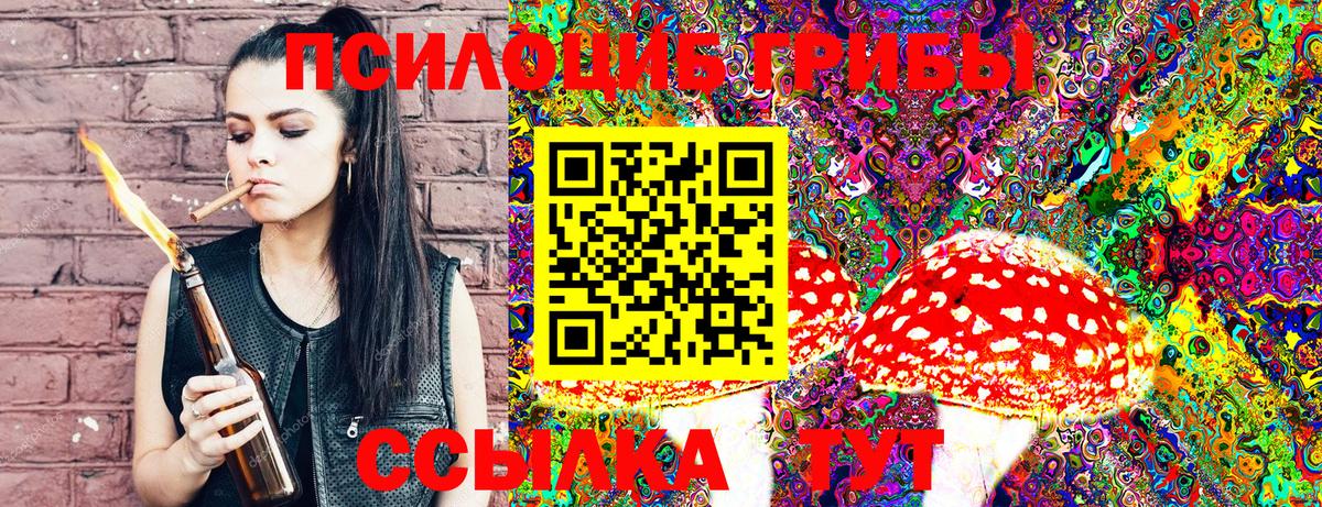 Рубцовск  Псилоцибиновые грибы GOLDEN TEACHER  Галлюциногенные грибы Cubensis  Вход с VPN 
